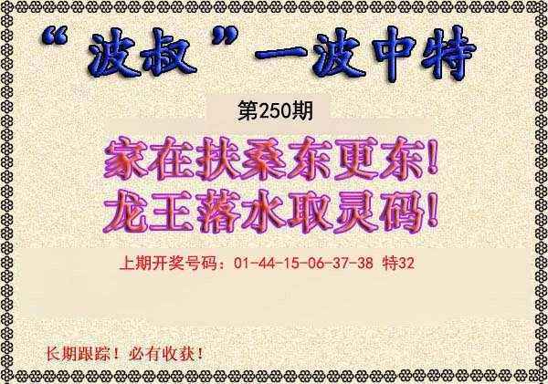 2024250期波叔一波中特