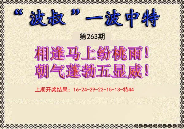 2024263期波叔一波中特