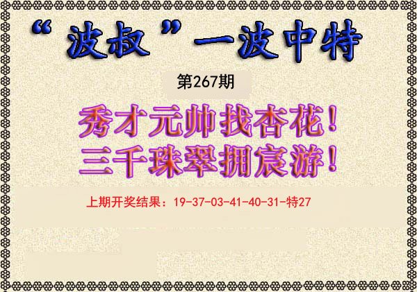 2024267期波叔一波中特