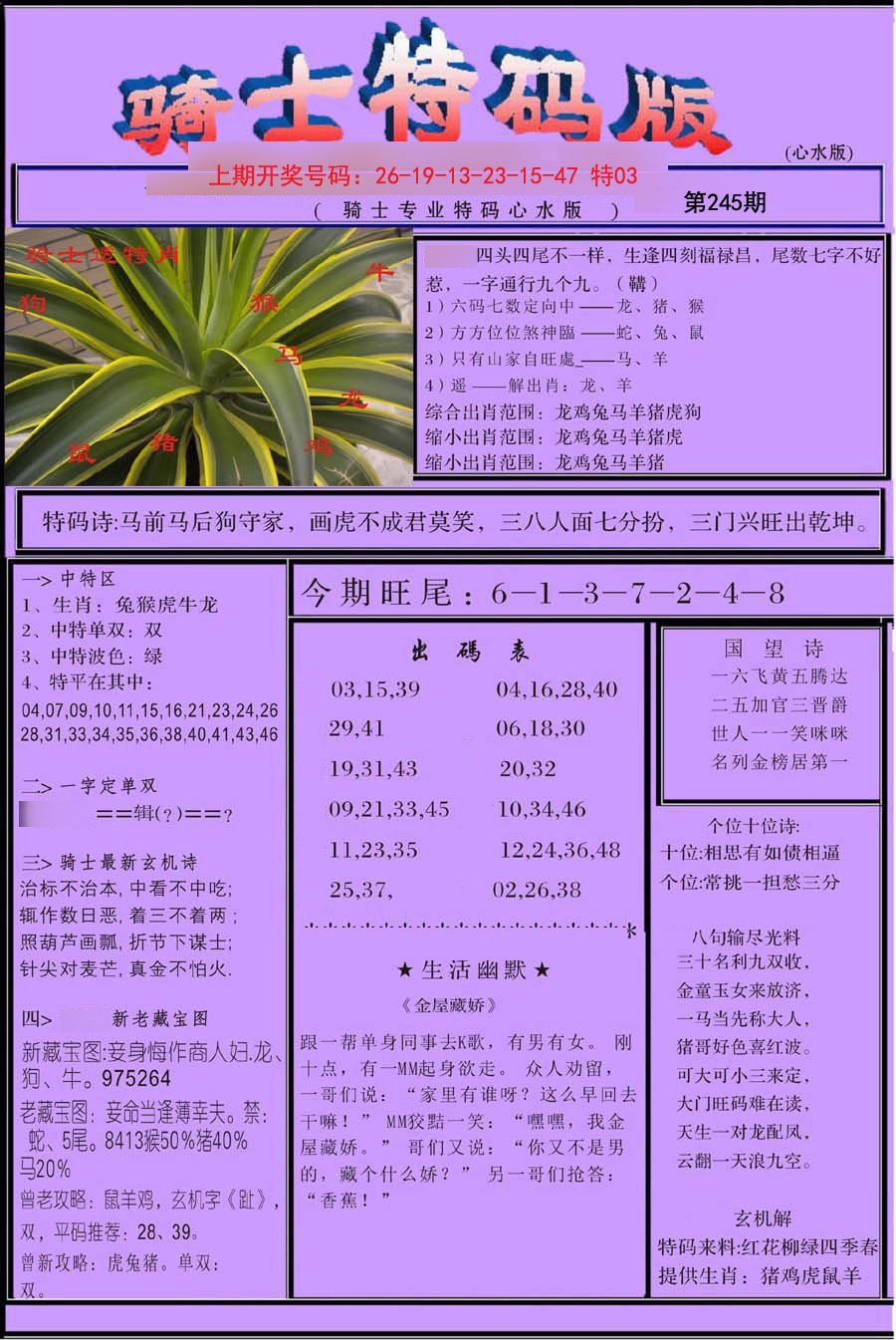 2024245期骑士特码版