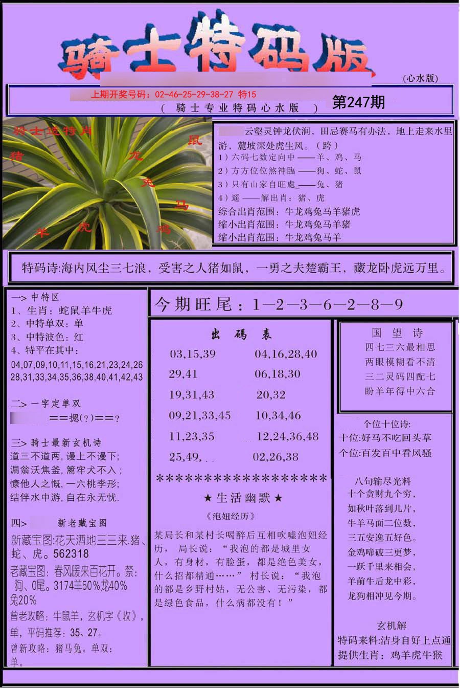 2024247期骑士特码版