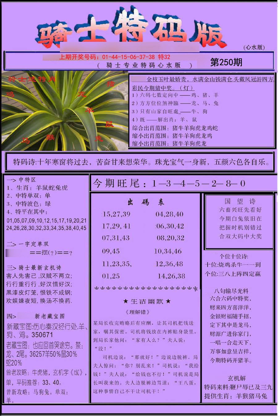 2024250期骑士特码版