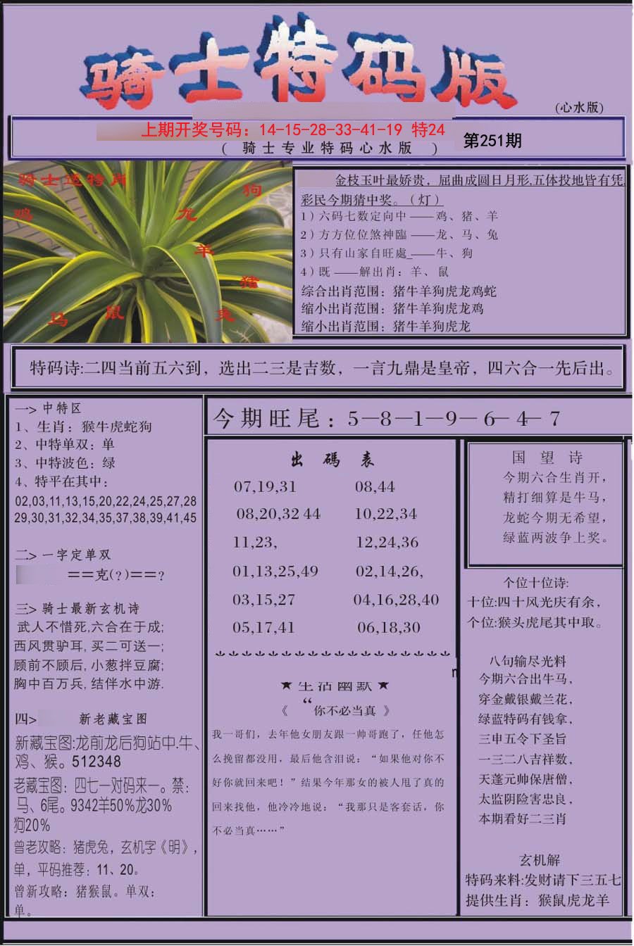 2024251期骑士特码版