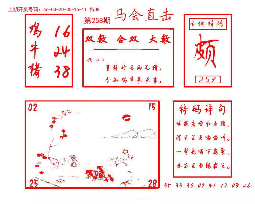2024258期马会直击