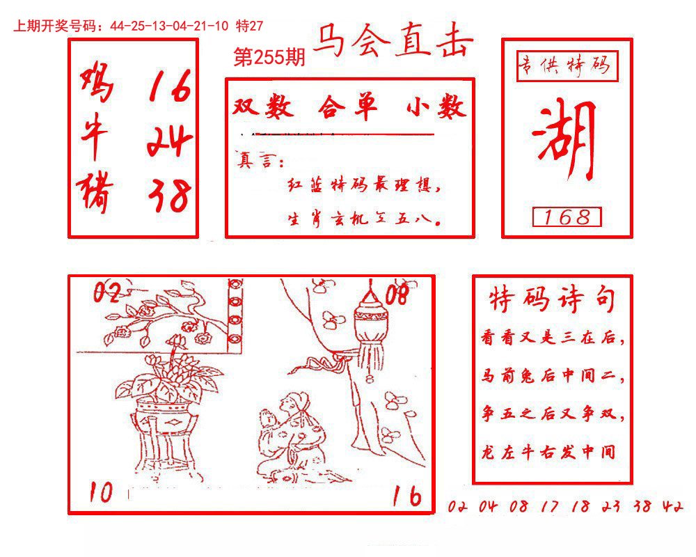 2024255期马会直击