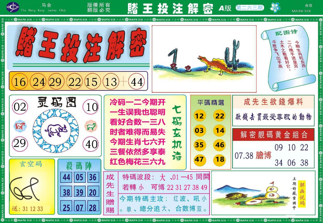 2024263期赌王投注解密
