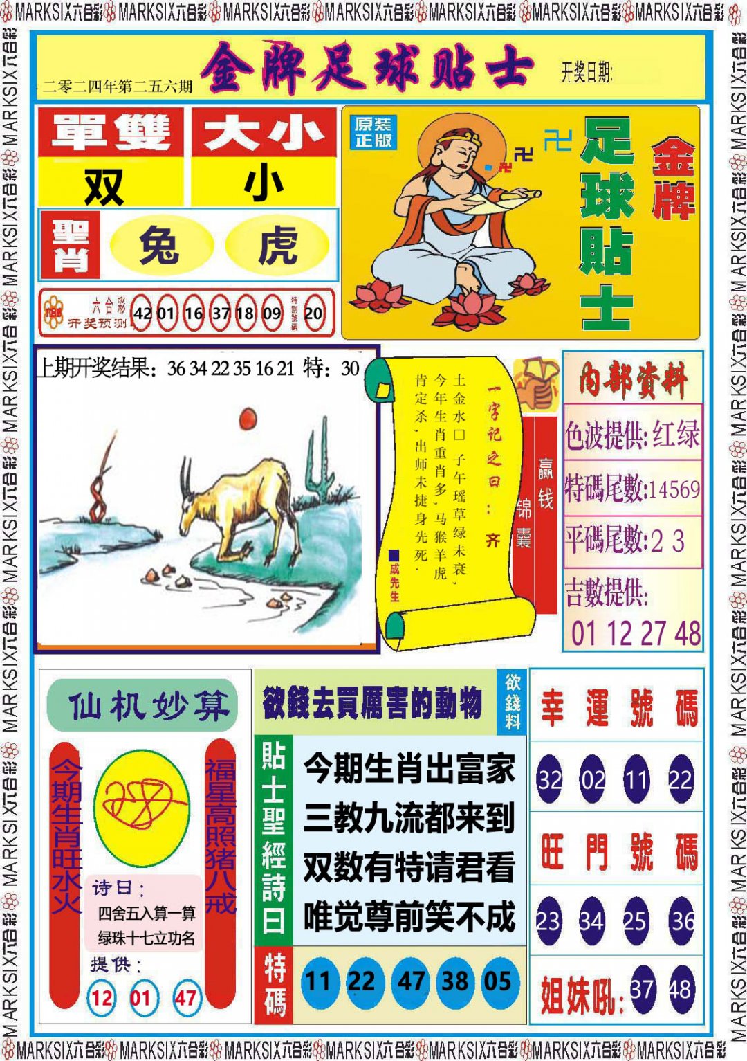 2024256期金牌足球贴士