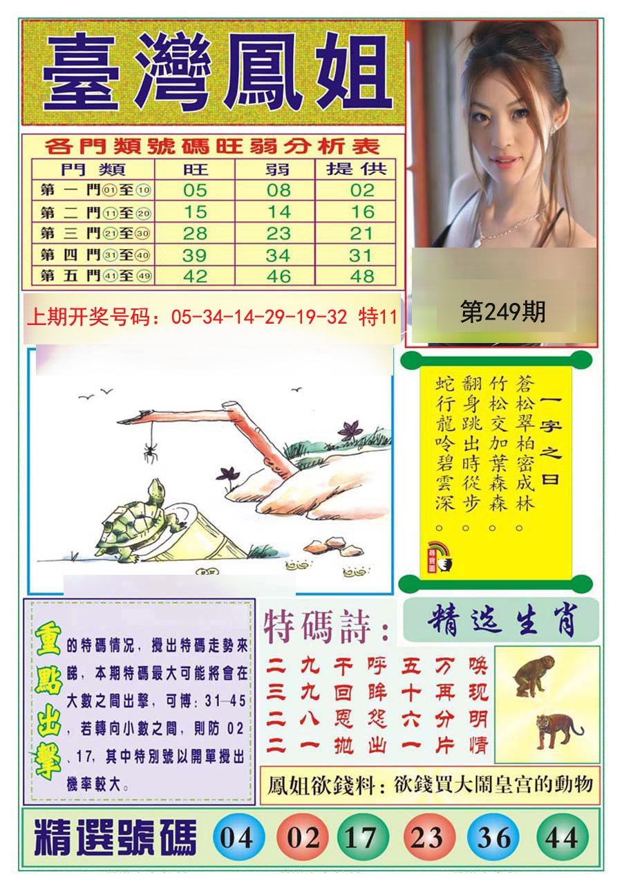 2024249期台湾凤姐