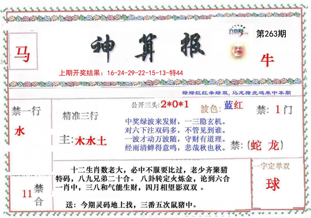 2024263期神算報