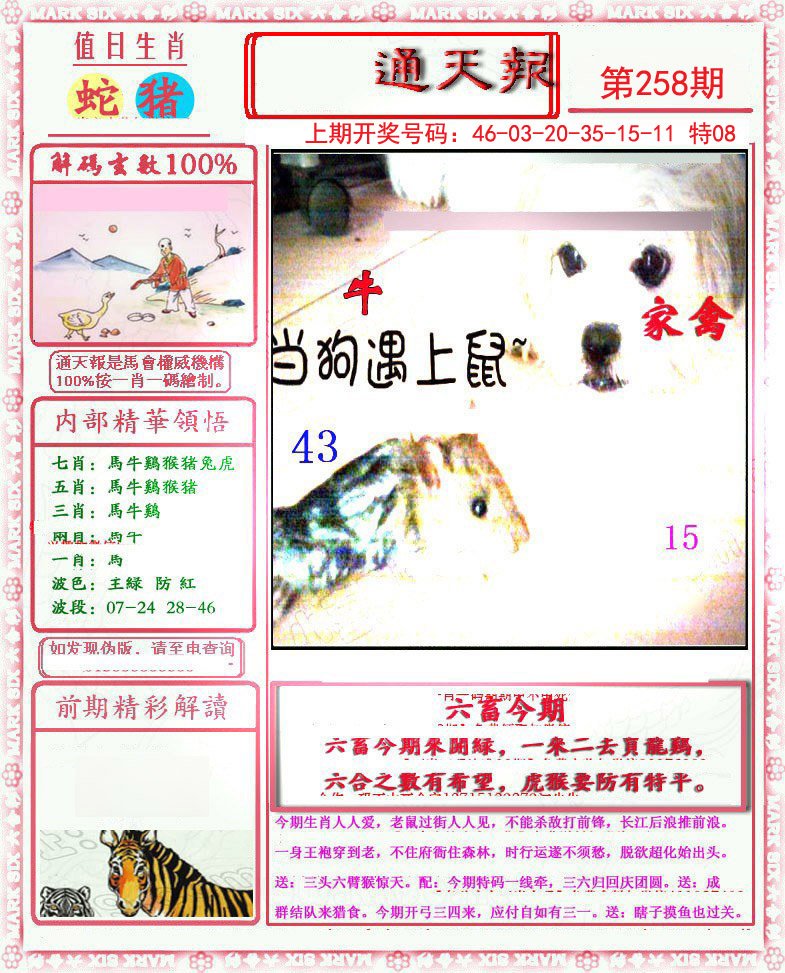 2024258期小喜通天报