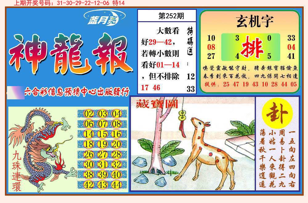 2024252期神龙报