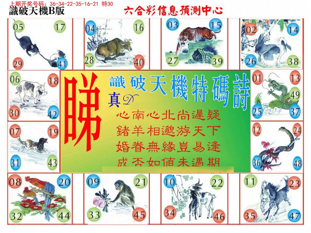 2024256期识破天机B版