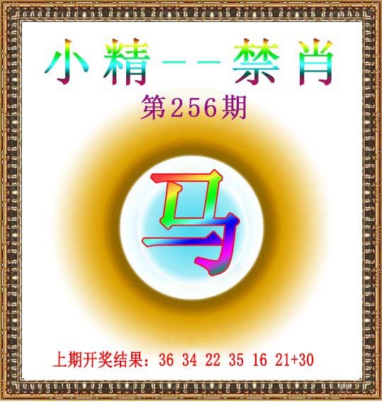 2024256期小精禁肖