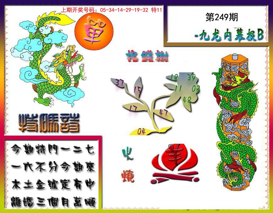 2024249期九龙内幕特肖图a