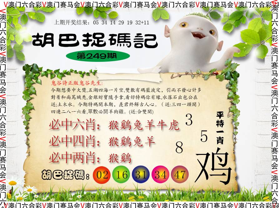2024249期胡巴抓码记