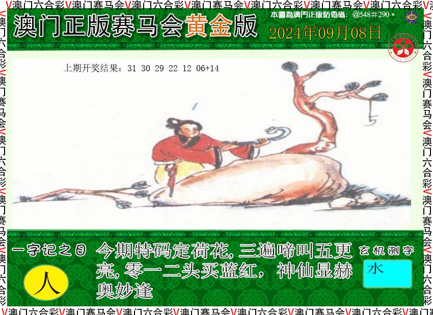 2024252期赛马会黄金版