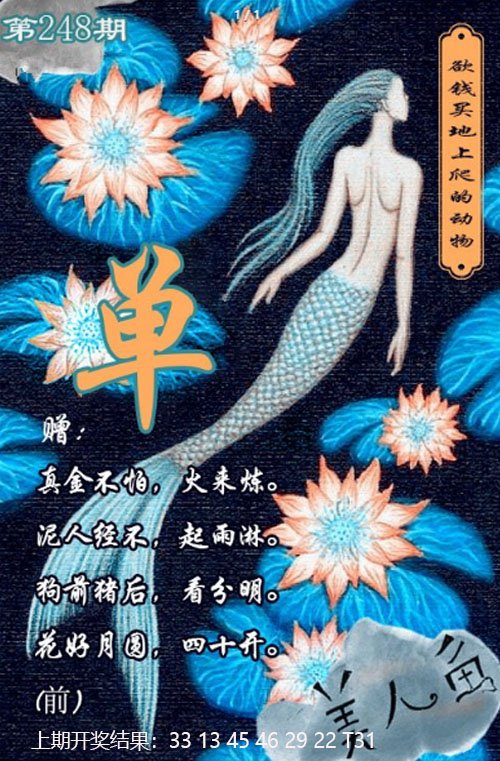 2024248期美人鱼单双中特图