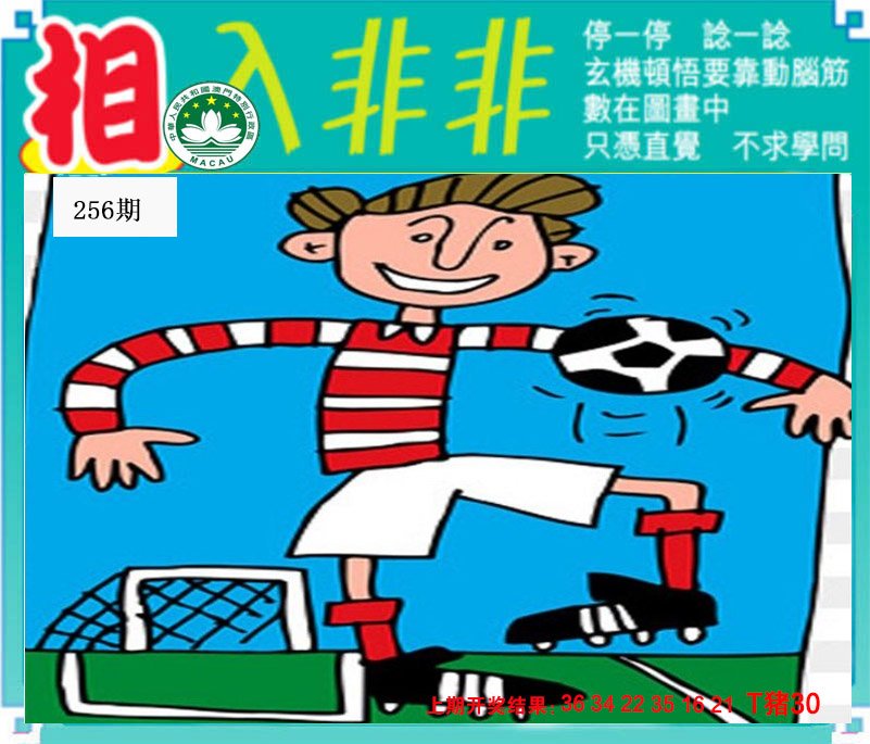2024256期相入非非