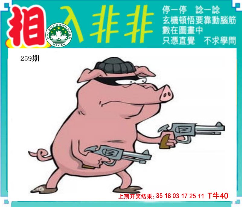 2024259期相入非非