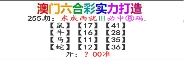 2024255期东成西就