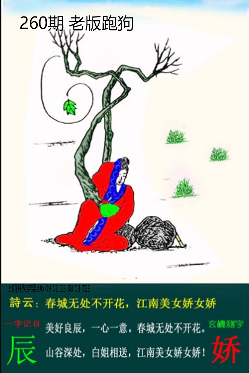 2024260期老板跑狗