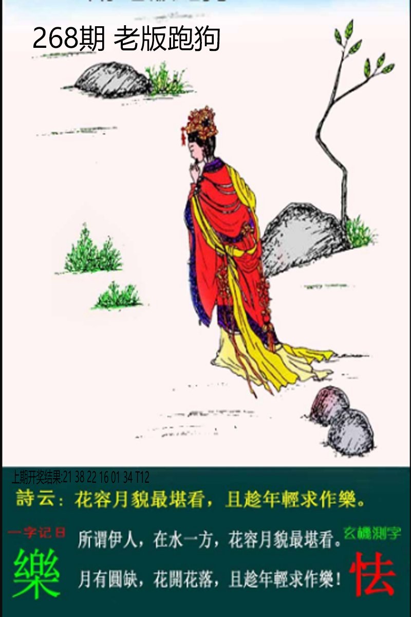 2024268期老板跑狗
