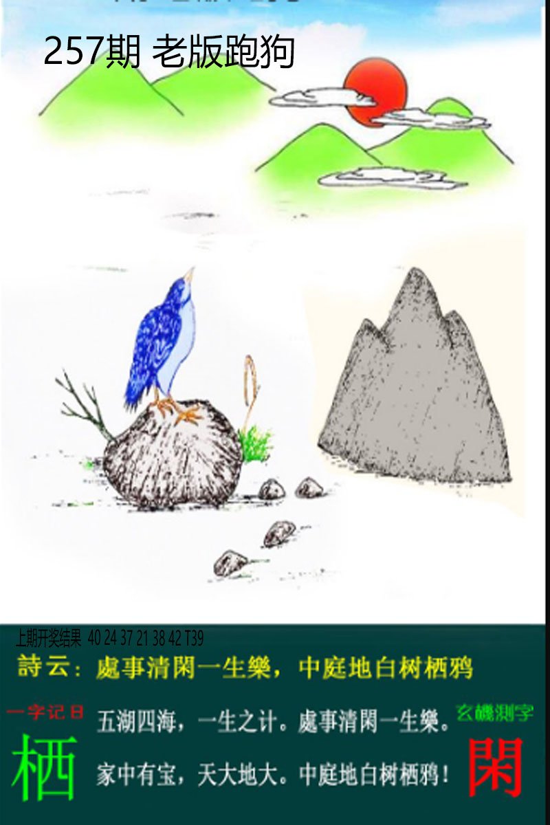 2024257期老板跑狗