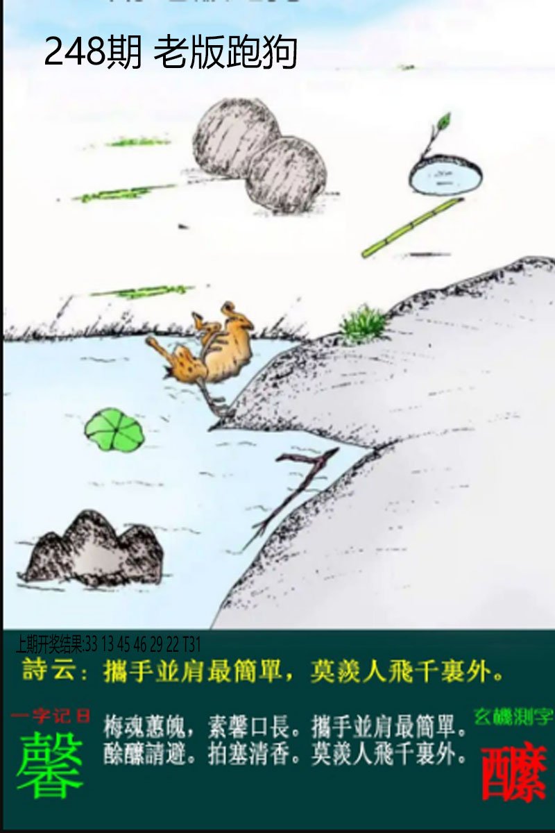 2024248期老板跑狗