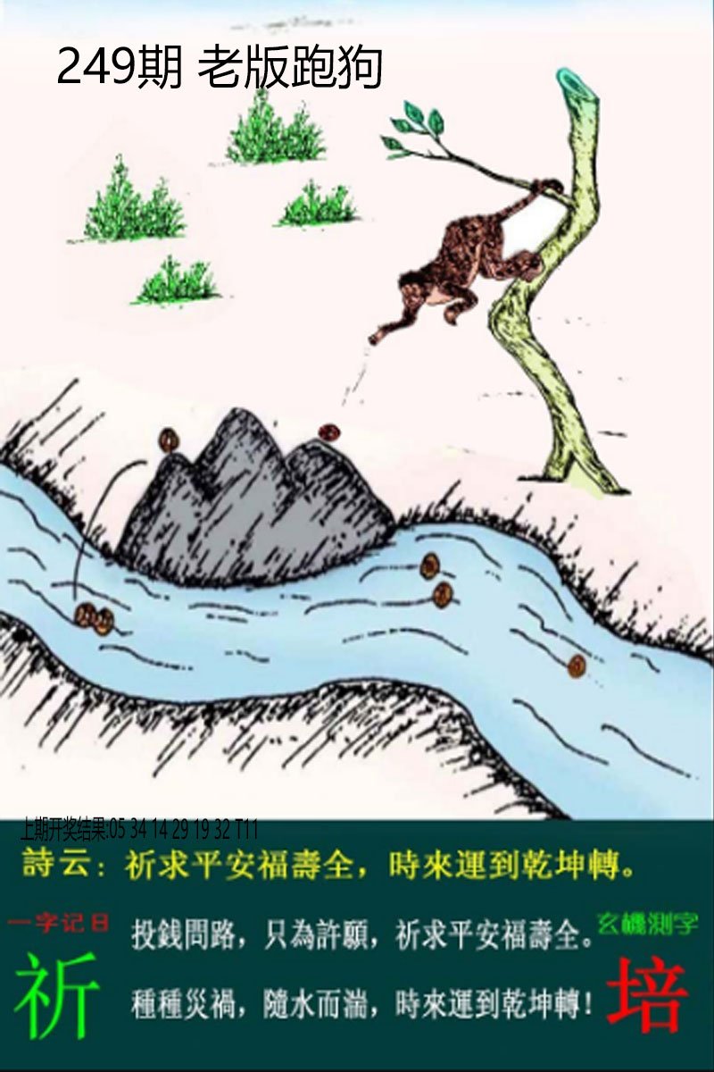 2024249期老板跑狗