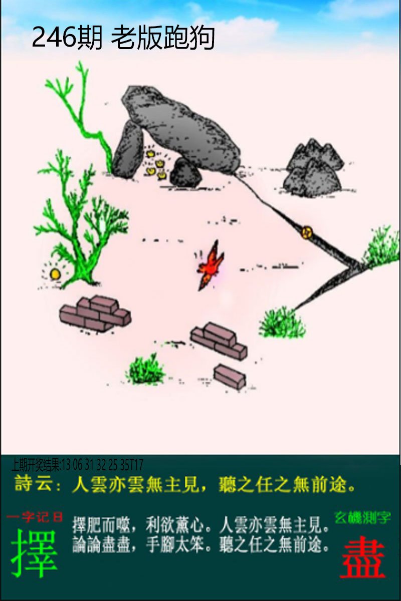 2024246期老板跑狗