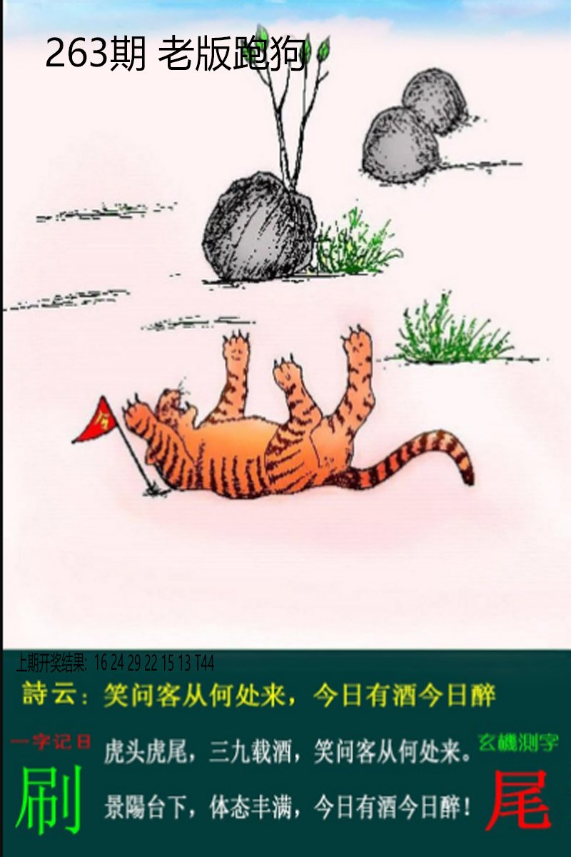 2024263期老板跑狗