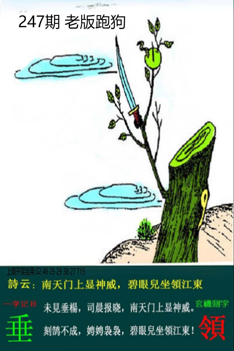 2024247期老板跑狗