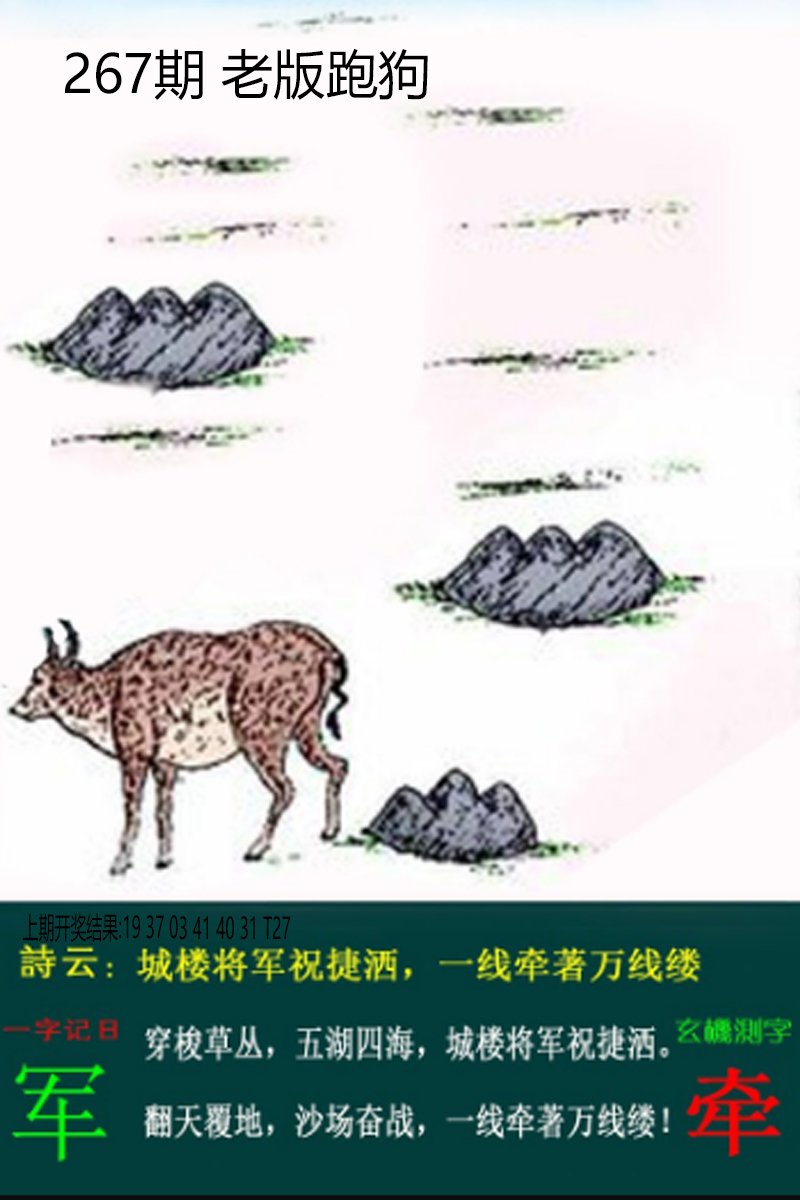 2024267期老板跑狗