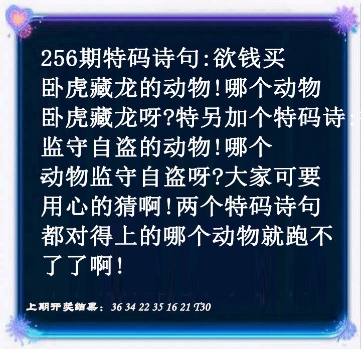 2024256期蓝色欲钱料