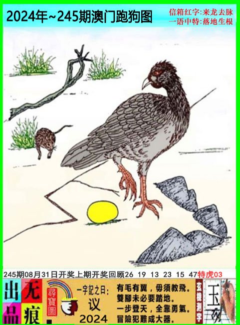 2024245期澳门跑狗无痕版