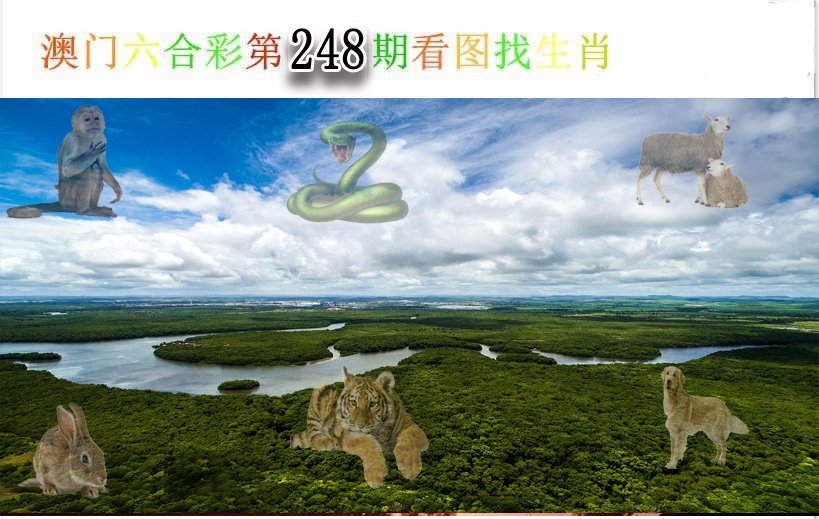 2024248期看图找生肖