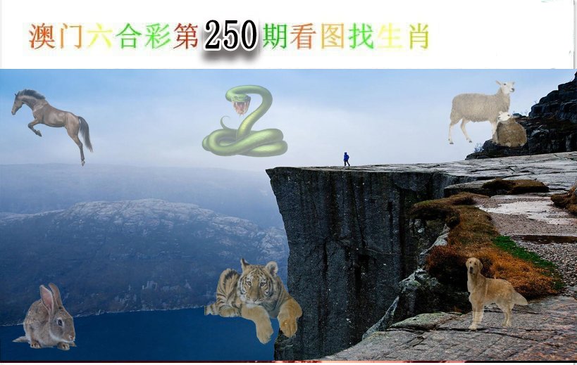 2024250期看图找生肖