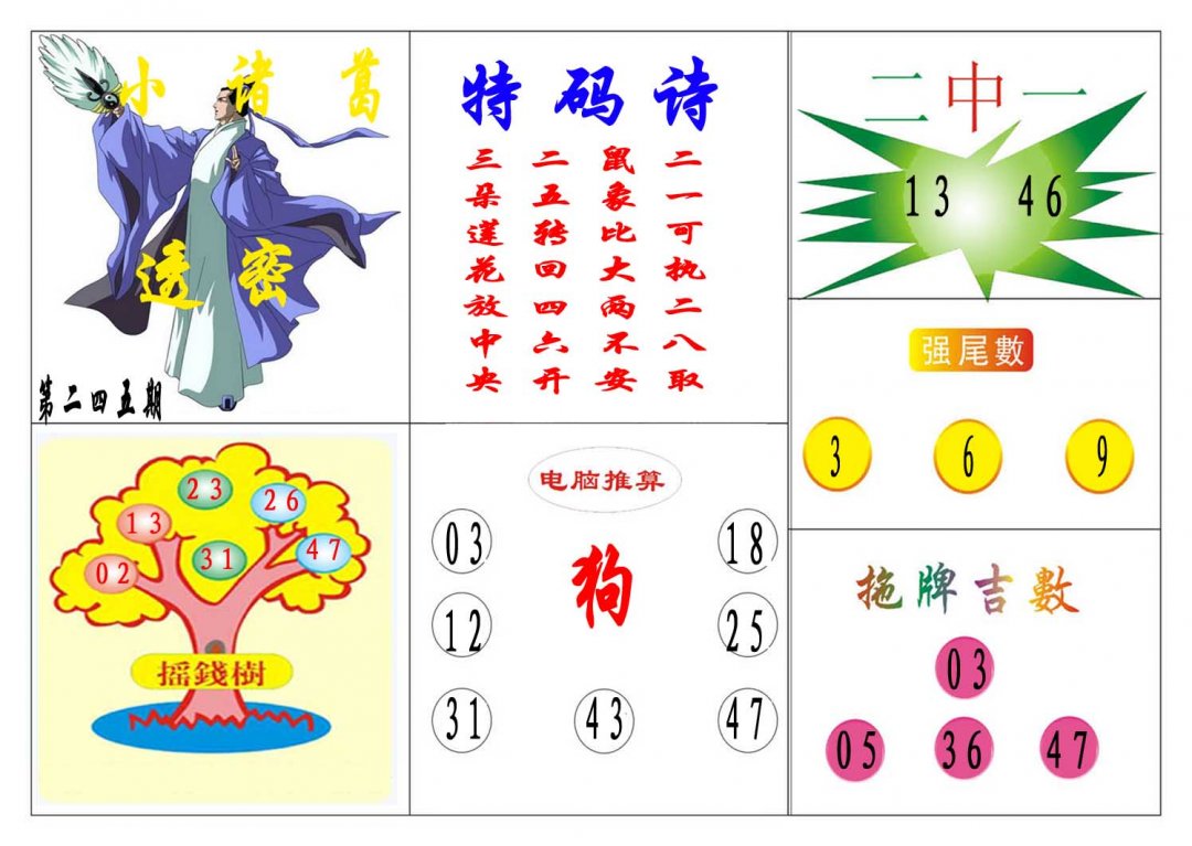 2024245期小诸葛