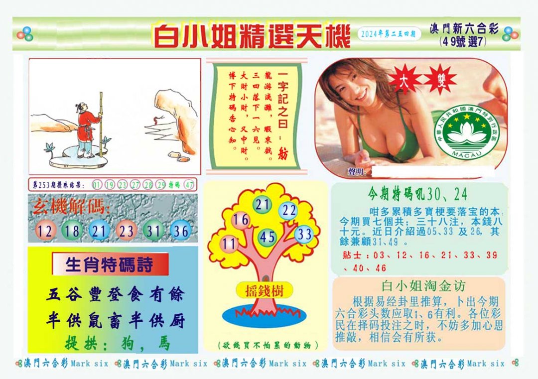 2024254期白小姐精选玄机A
