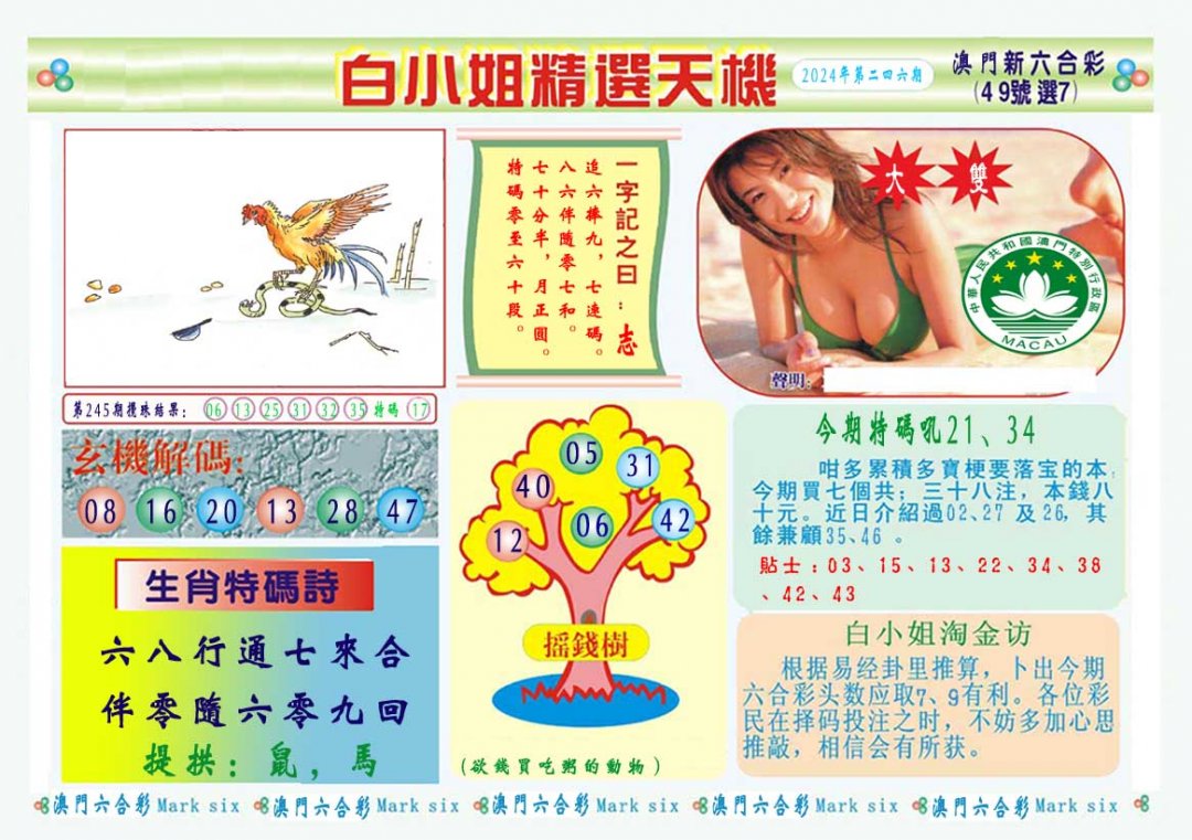 2024246期白小姐精选玄机A