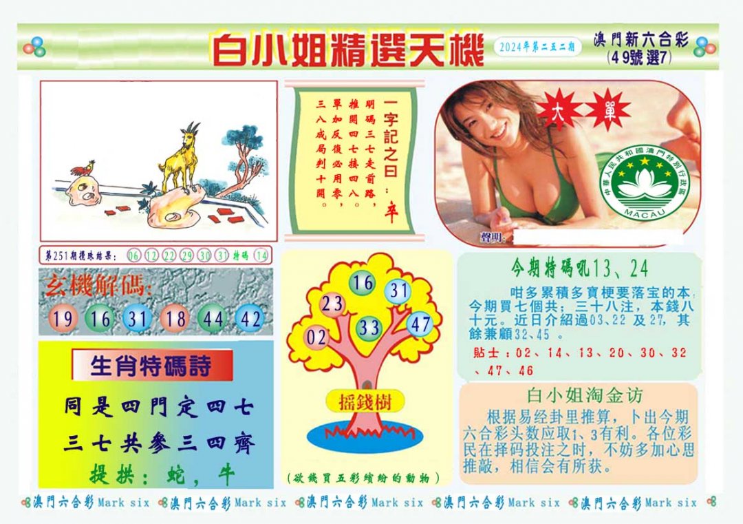 2024252期白小姐精选玄机A