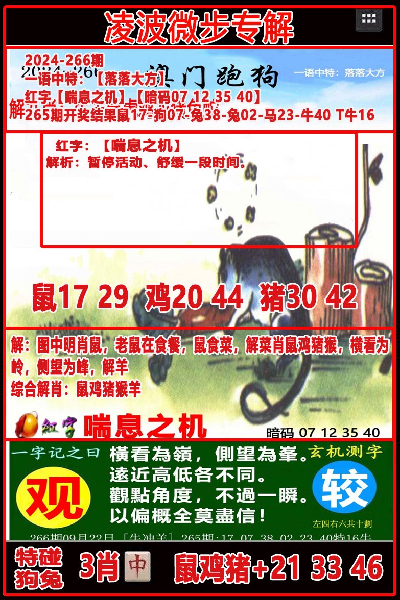2024266期凌波微步