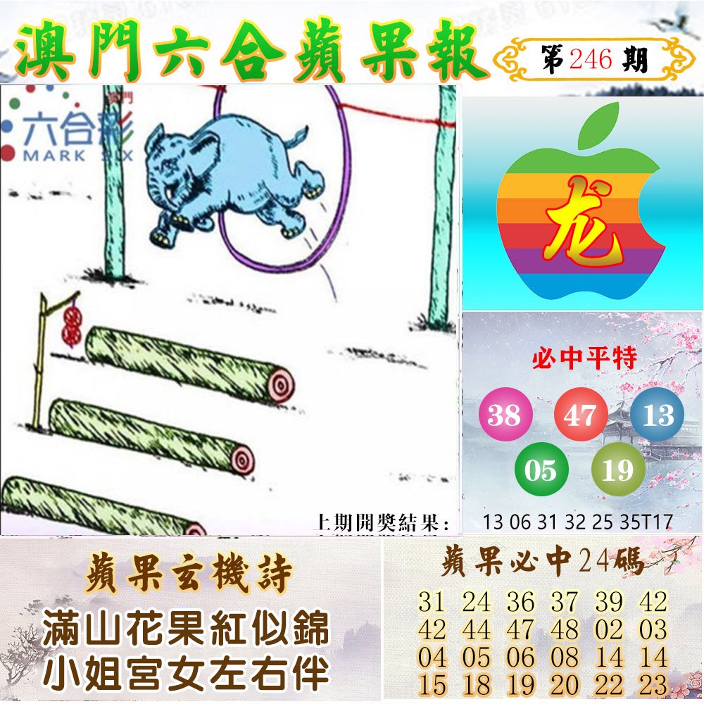 2024246期苹果报
