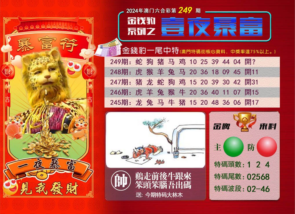 2024249期一夜暴富