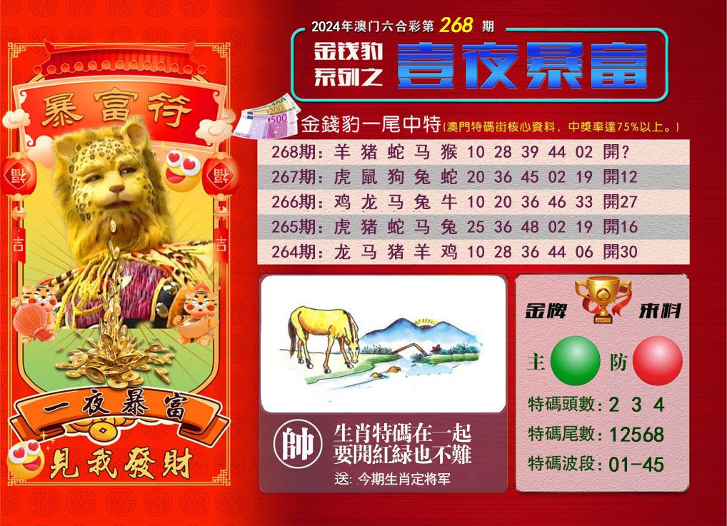 2024268期一夜暴富
