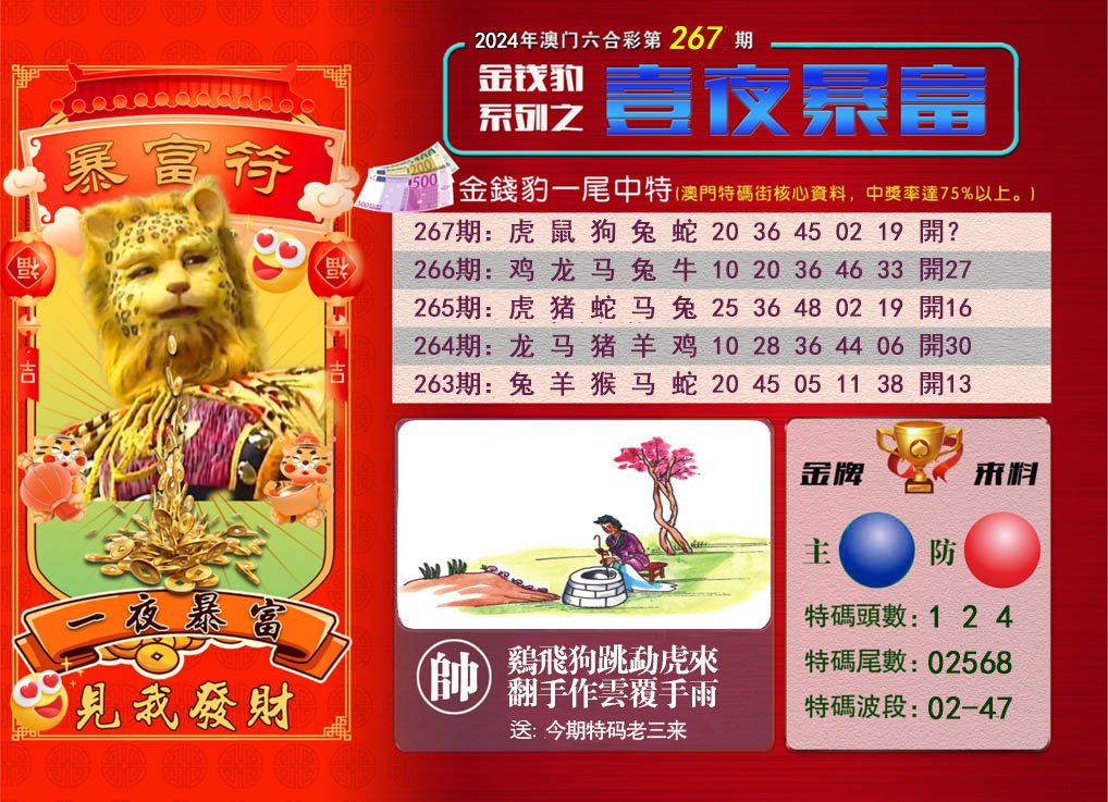 2024267期一夜暴富