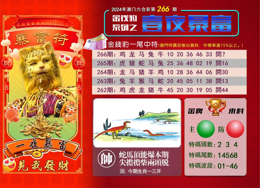 2024266期一夜暴富
