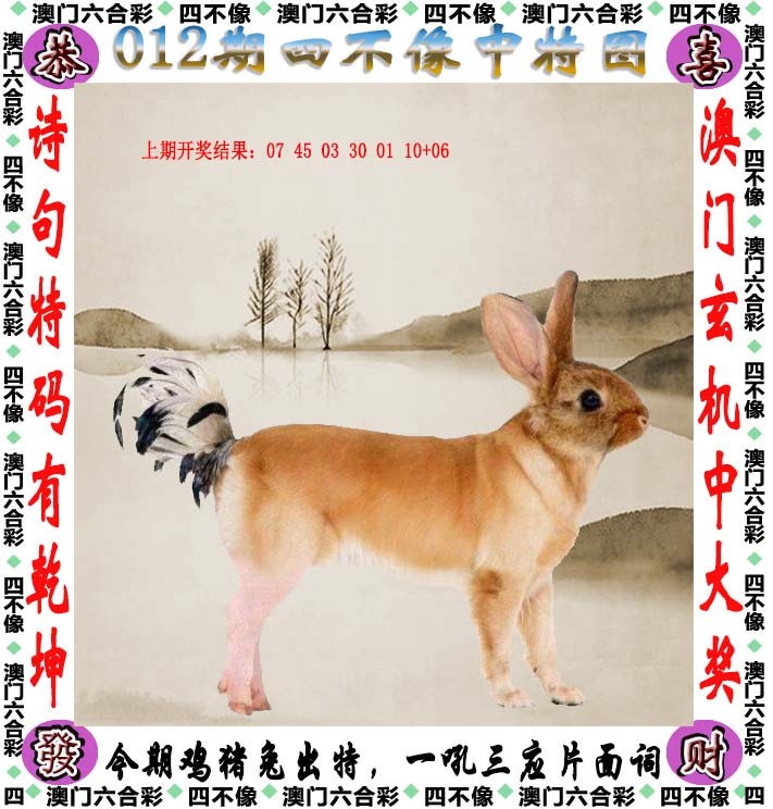 2025012期四不像