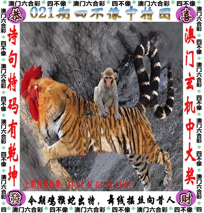 2025021期四不像