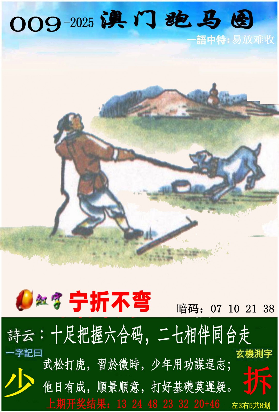 2025009期跑马图